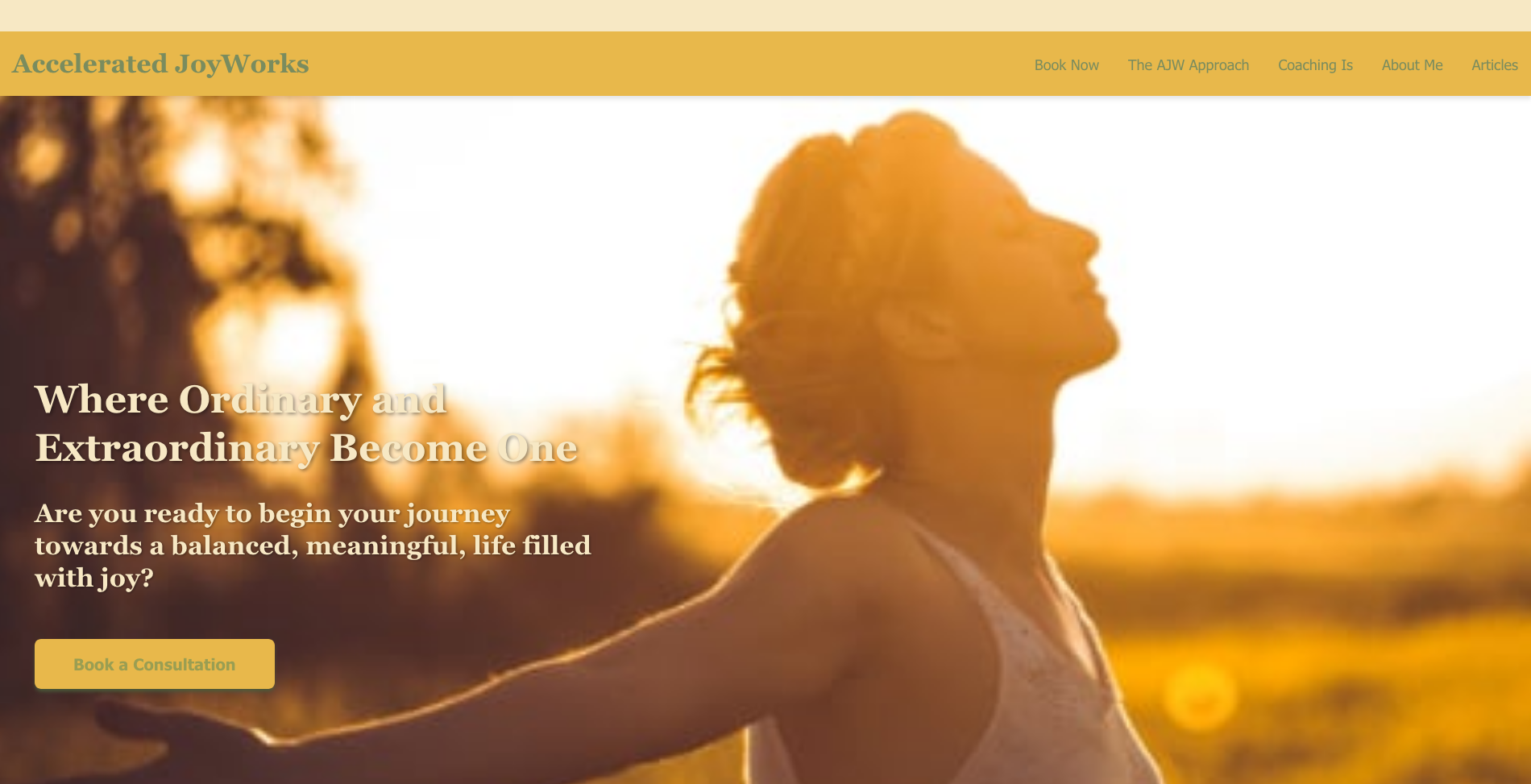 Accelerated JoyWorks — new custom redesign by Zack Halsey