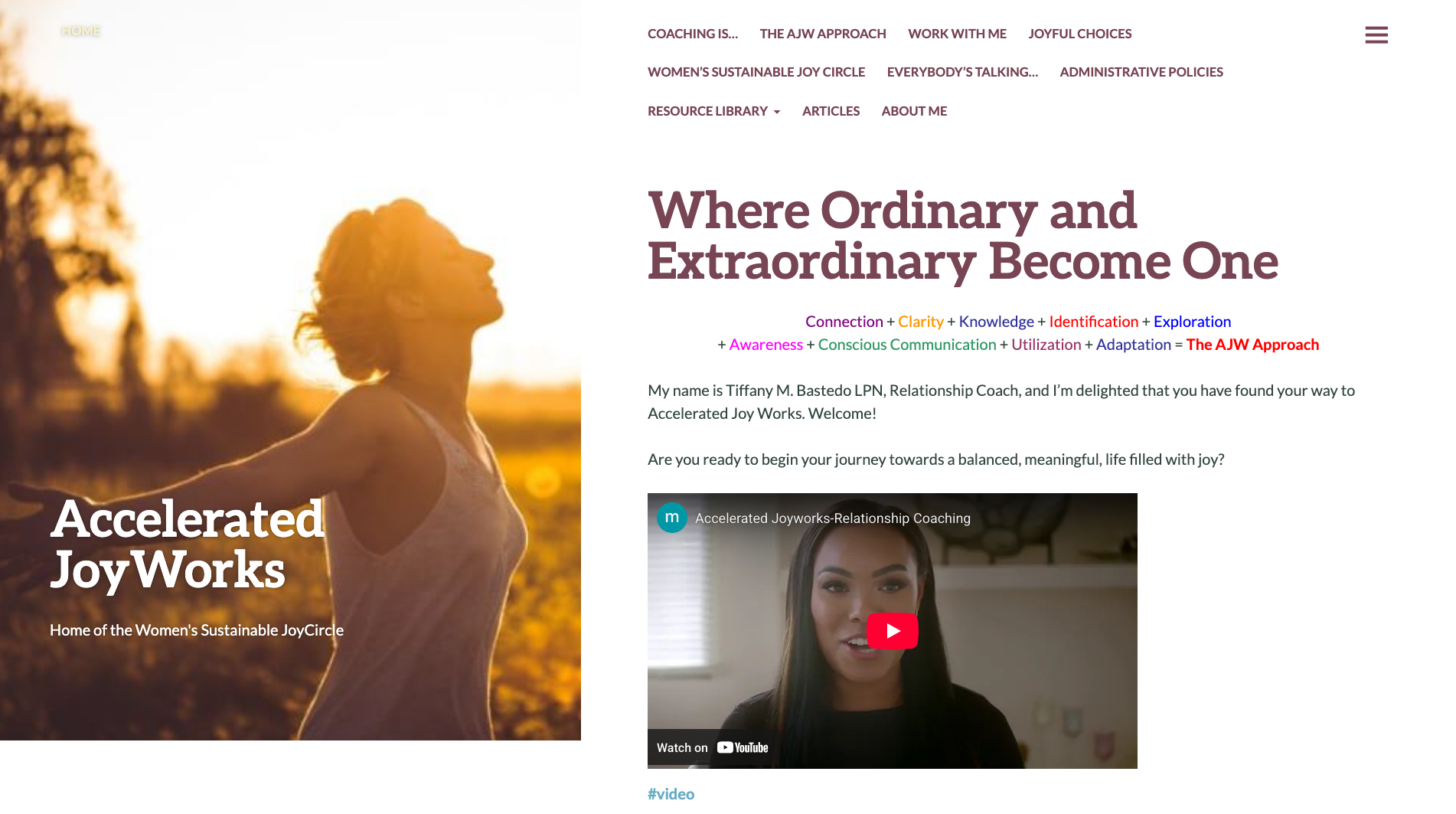 Accelerated JoyWorks — original WordPress site before redesign